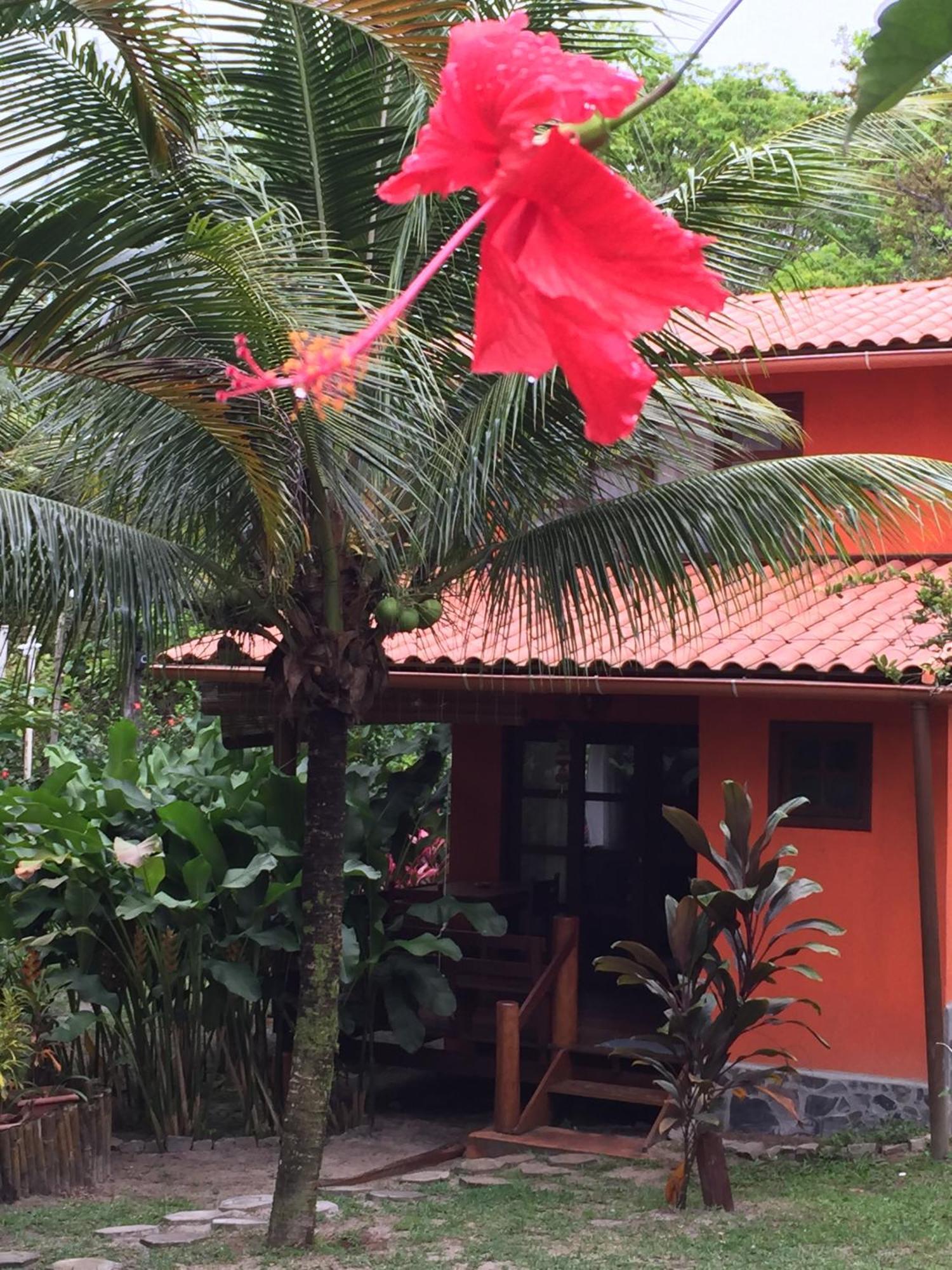 Vila Sofia Chales Morro de São Paulo Kamer foto